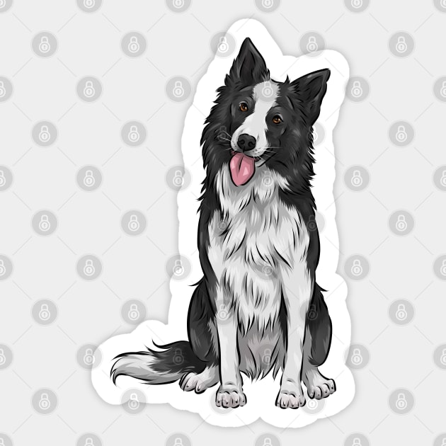 Black and White Border Collie Dog Sticker by Shirin Illustration